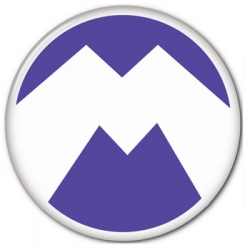 Monster Minion Despicable Me Button halloween costume accessory